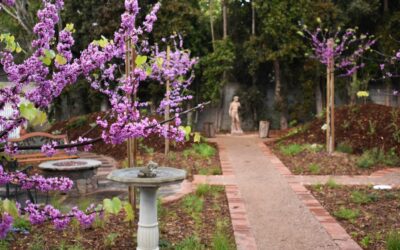 GARDEN HIGHLIGHT: 1938 Colonial-Revival Regenerative Garden in Hollywood, CA